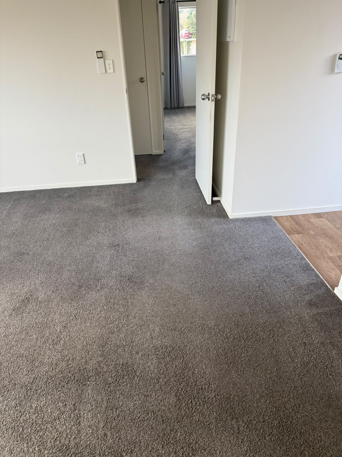 Hallway with fresh grey carpet flowing between open doorways