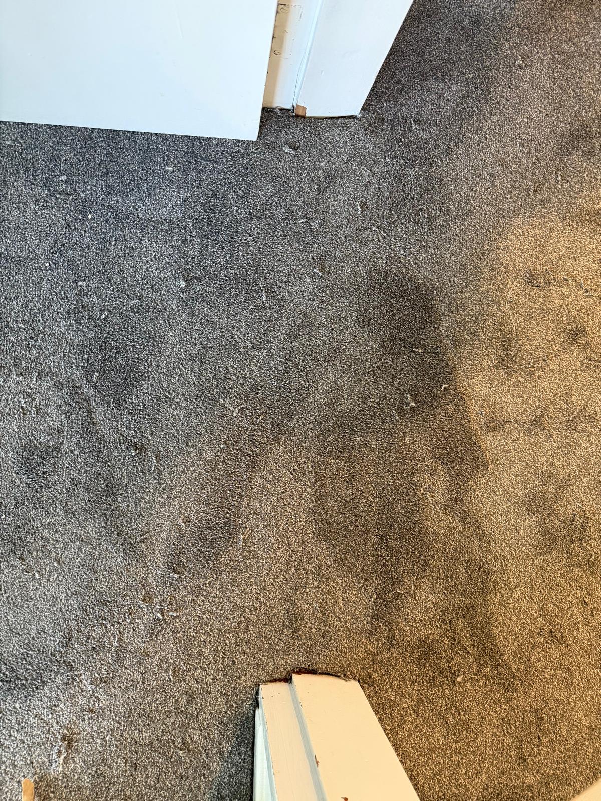 Grey carpet with a dark damaged patch spreading out from a doorway threshold